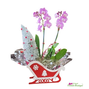 Benefits of Gifting Orchid Arrangements to Your Loved Ones